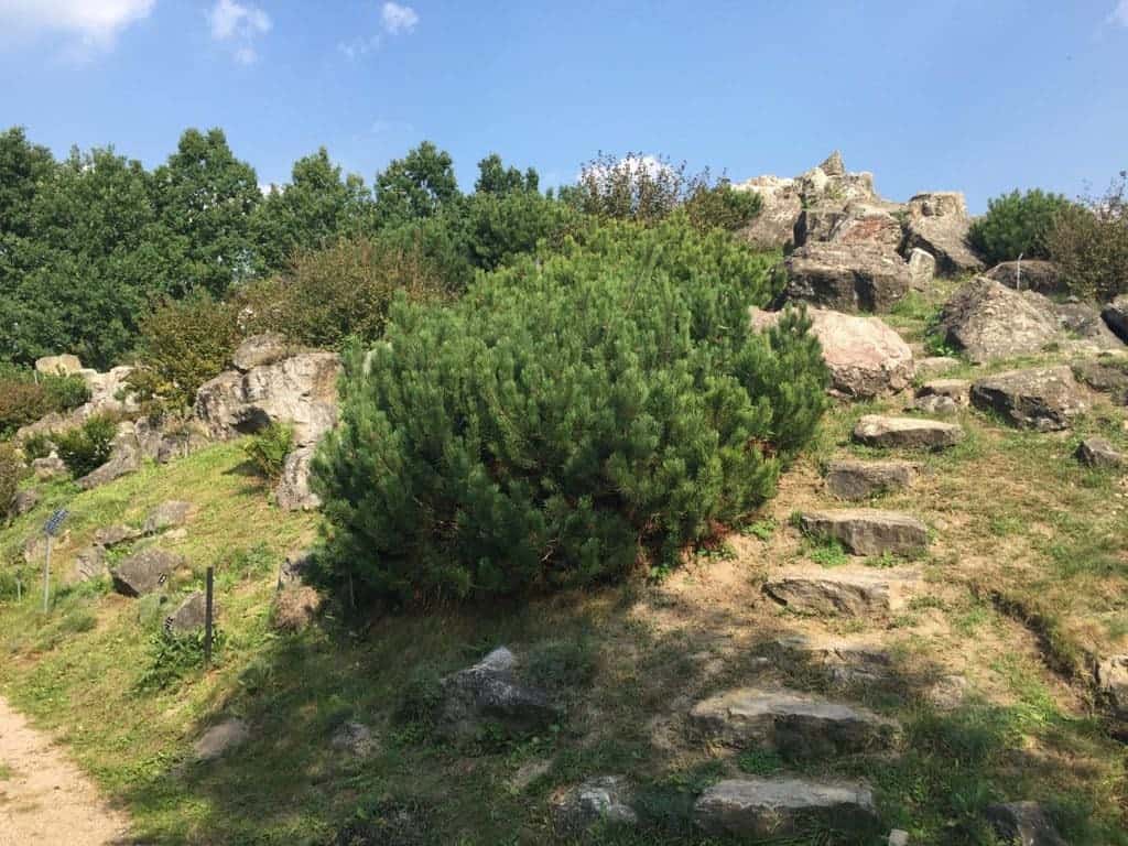 Botanical Garden of the Polish Academy of Sciences in Powsin with children, attractions for kids, rocks