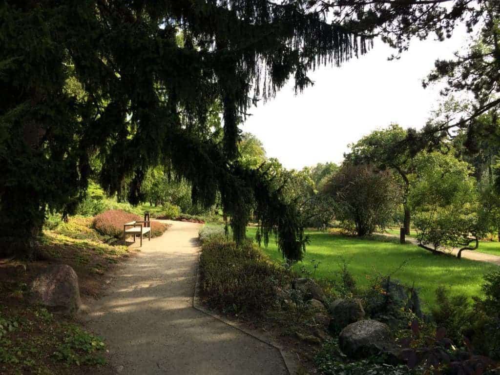 Zelazowa Wola in Poland with children - Birthplace of Frederic Chopin, attractions for kids, park during summer time, romantic allies