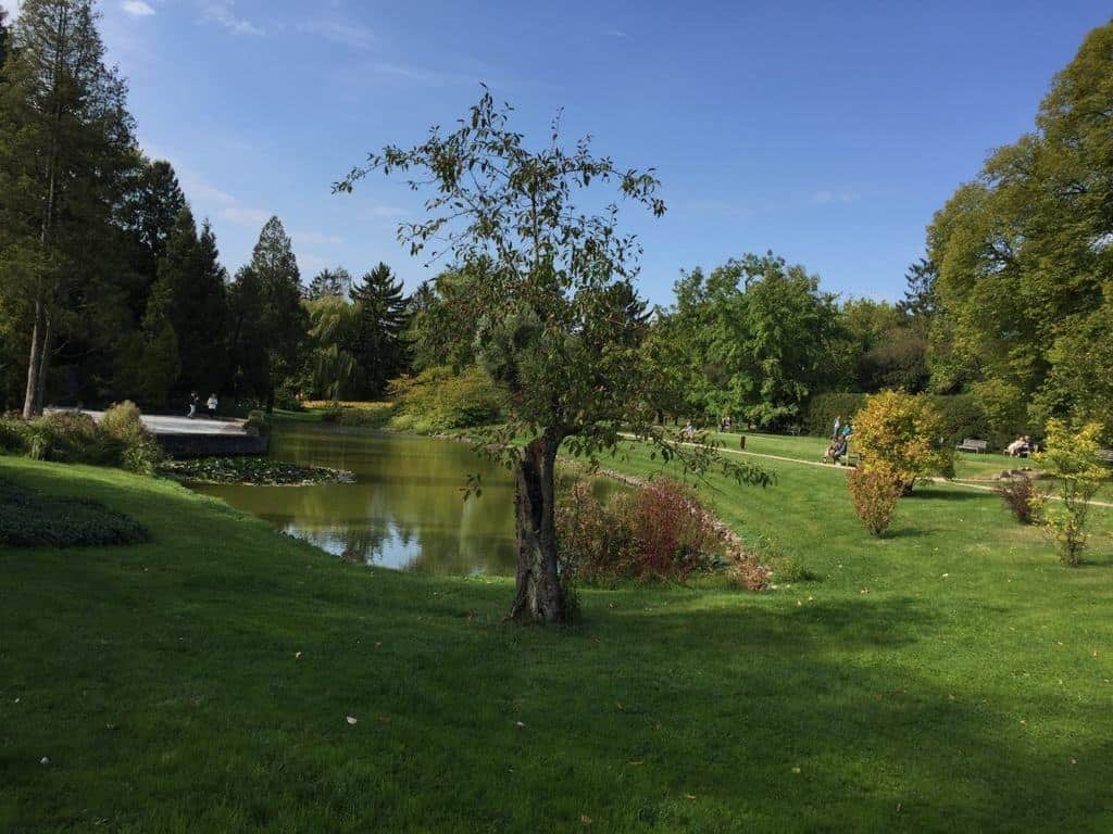 Zelazowa Wola in Poland with children - Birthplace of Frederic Chopin, attractions for kids, park during summer time, utrata river