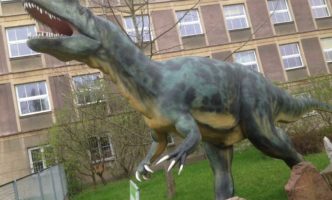 CDD76C89-EDA8-41F5-82B8-7ADC0C199832