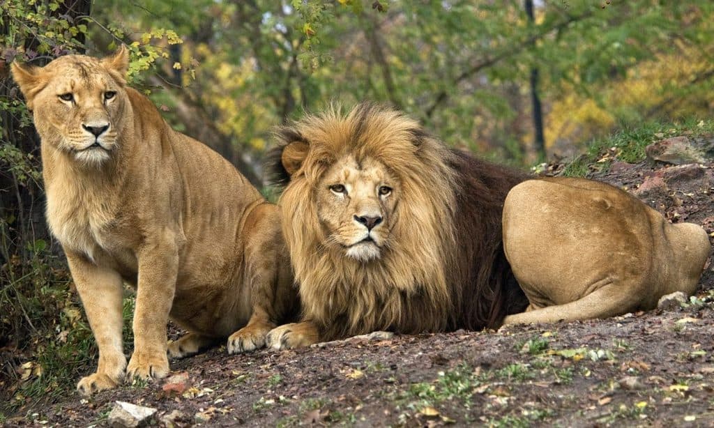 Zoo and Oceanarium in Wroclaw