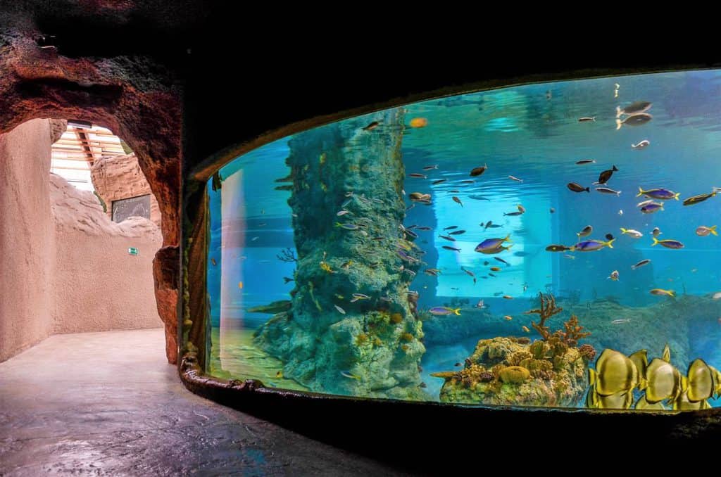 Zoo and Oceanarium in Wroclaw