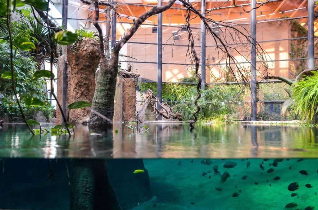 Zoo and Oceanarium in Wroclaw
