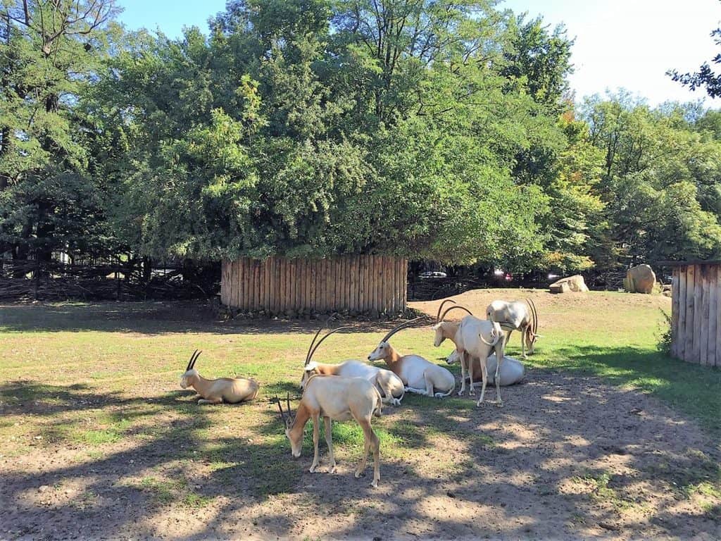 Zoo and Oceanarium in Wroclaw