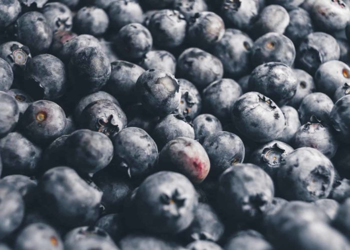 agriculture-1846438_1920