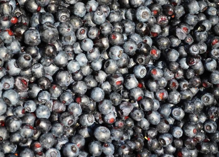 blueberries-850881_1920