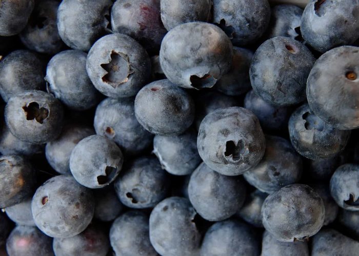 blueberry-3357568_1920