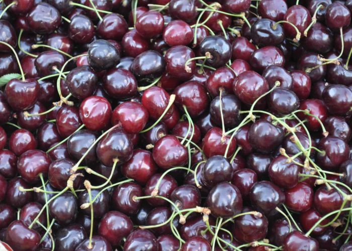 cherries-863046_1920