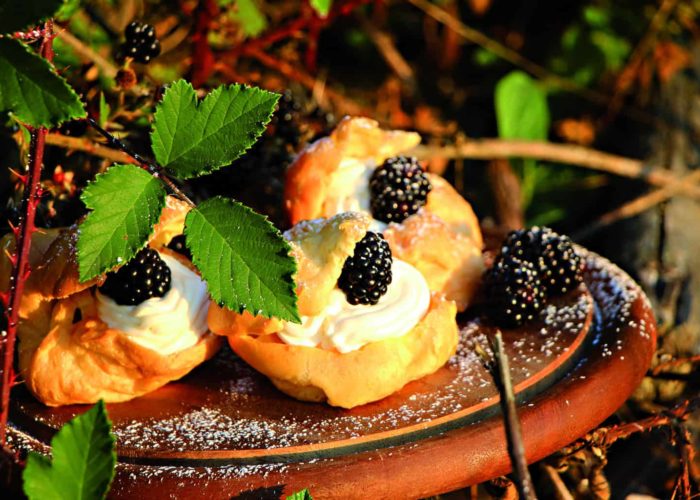 cream-puff-4204839_1920