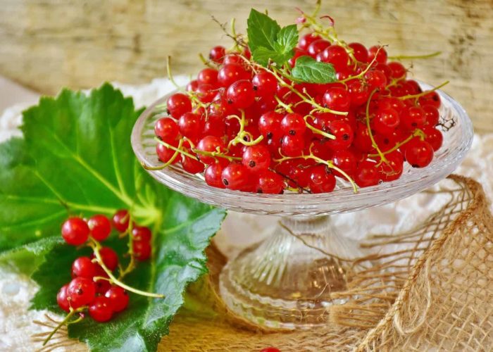 currants-2534931_1920
