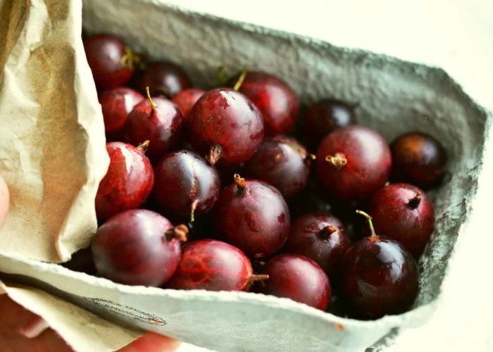 gooseberries-2545348_1920