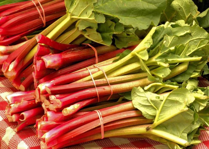 market-fresh-rhubarb-3503166_1920