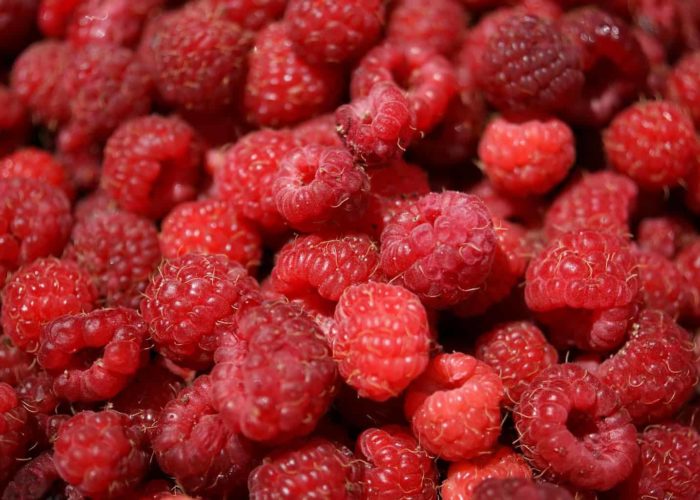 raspberries-3798021_1920