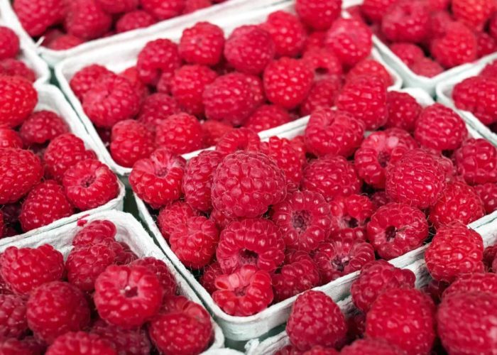 raspberry-1465988_1920