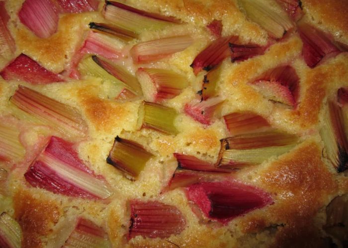 rhubarb-cake-1350979_1920