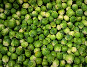 brussels-sprouts-22009_1920